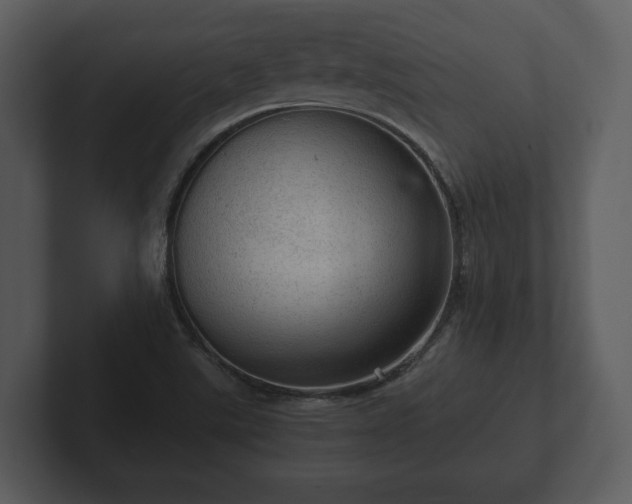 X0000103161507200808291440