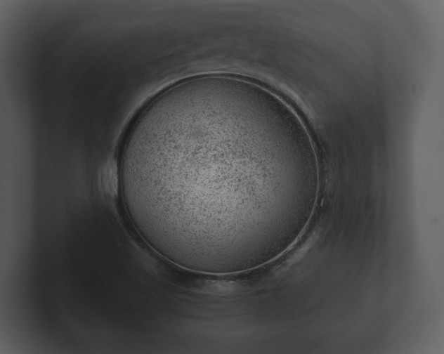 X0000103161509200808291440