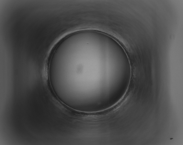 X0000103161510200808291440