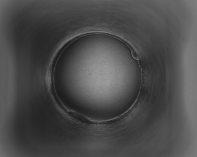 X0000103161511200808291440