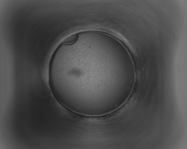 X0000103161512200808291440