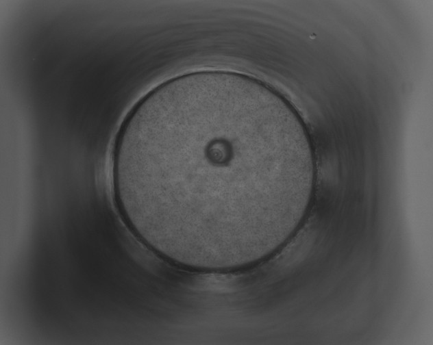 X0000103161514200808291440