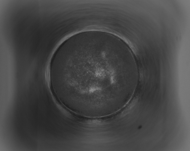 X0000103161515200808291440