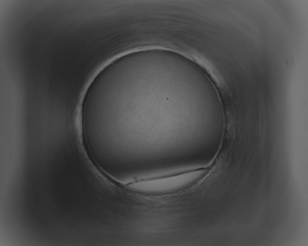 X0000103161516200808291440