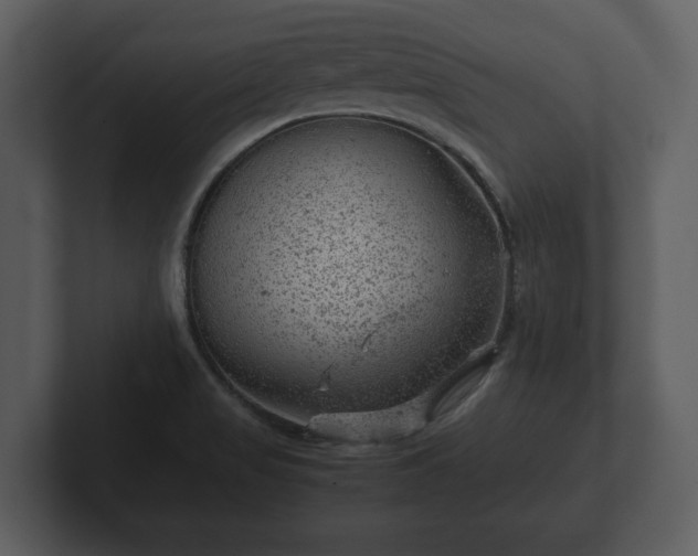 X0000103161517200808291440