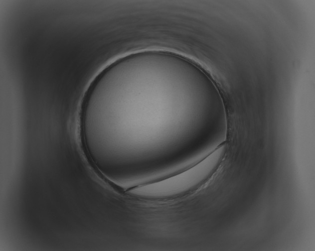 X0000103161518200808291440
