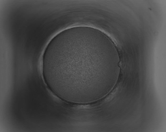 X0000103161519200808291440