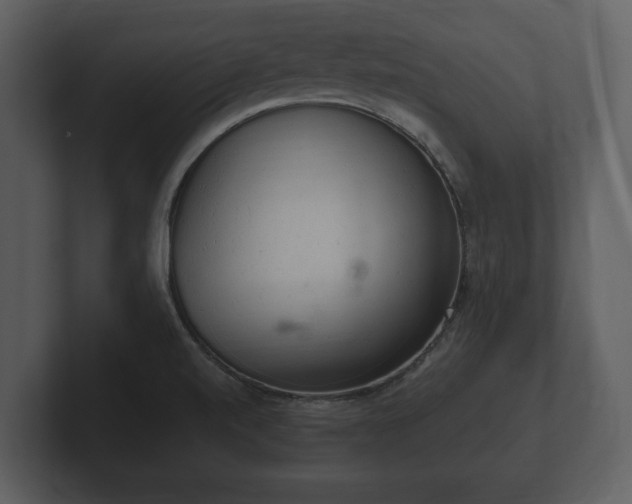 X0000103161520200808291440
