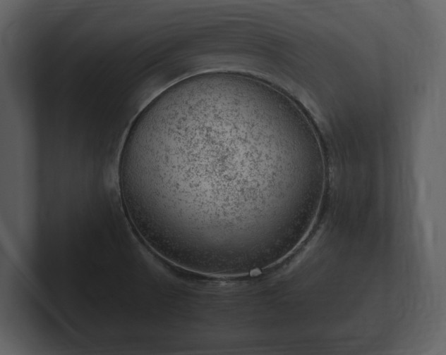 X0000103161521200808291440