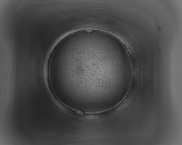 X0000103161523200808291440