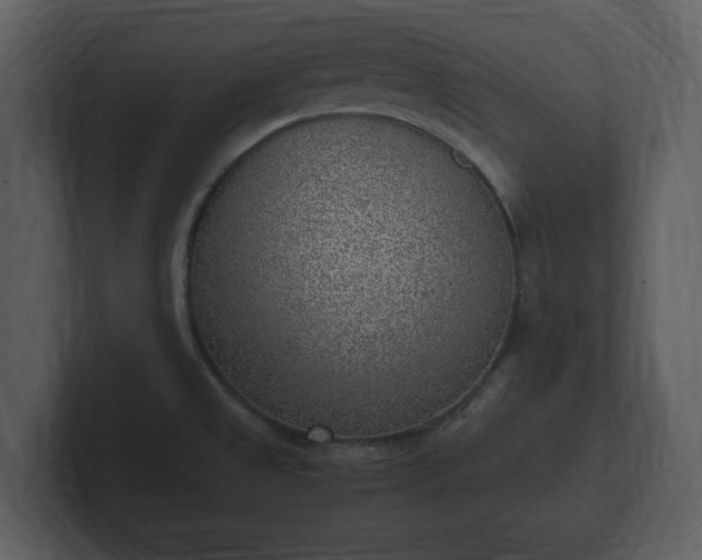 X0000103161525200808291440