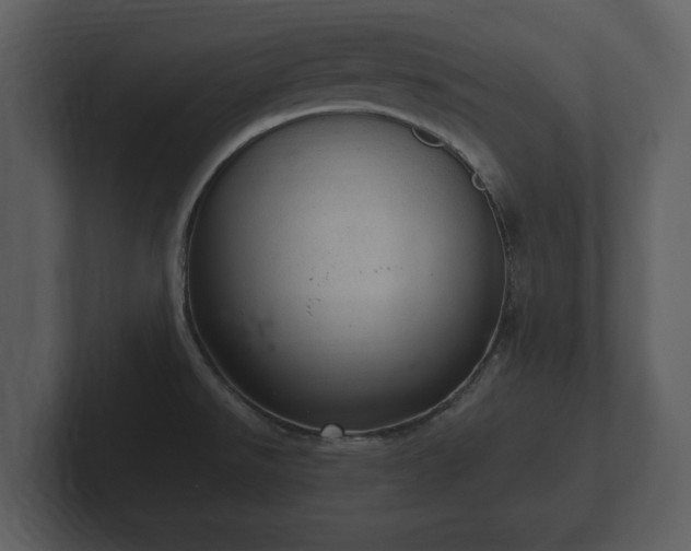X0000103161526200808291440