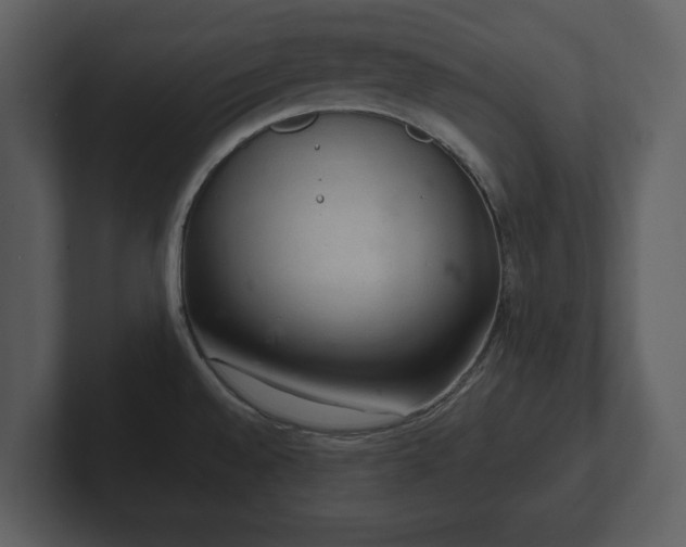X0000103161528200808291440