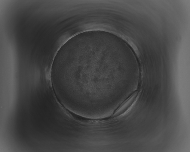 X0000103161529200808291440