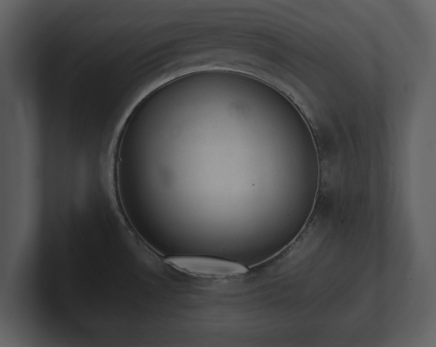 X0000103161530200808291440