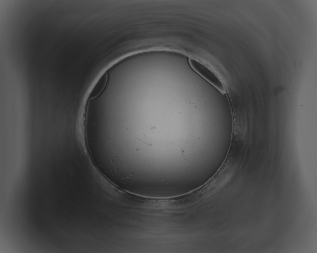 X0000103161532200808291440