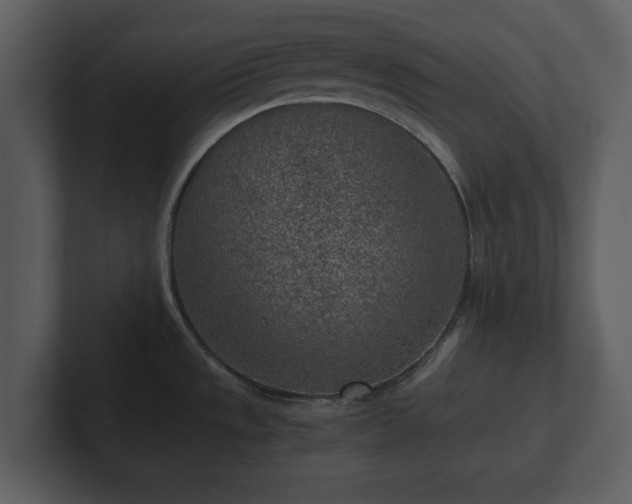 X0000103161533200808291440