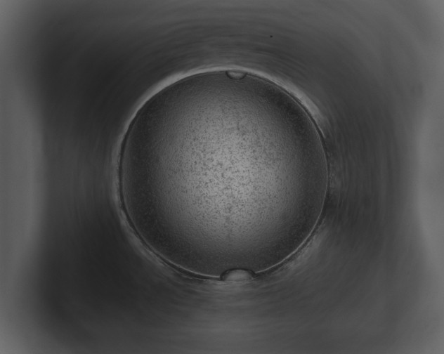 X0000103161534200808291440