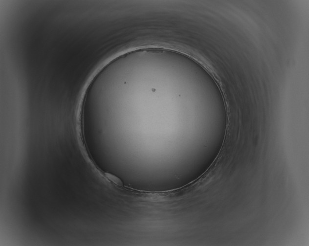 X0000103161536200808291440