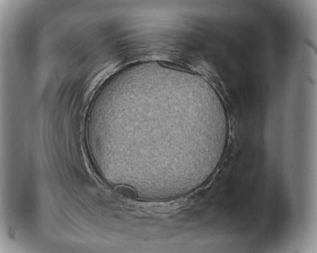 X0000103160001200809051710