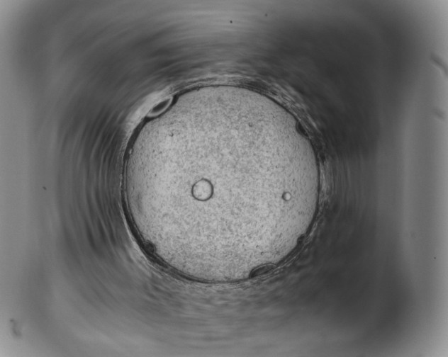 X0000103160003200809051710