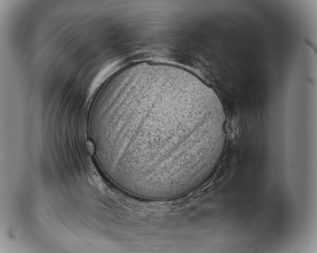 X0000103160004200809051710