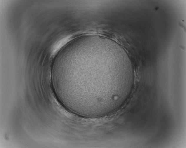 X0000103160005200809051710