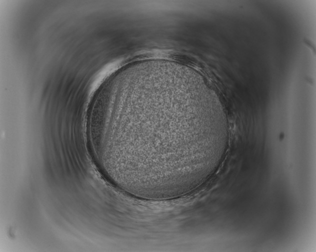 X0000103160006200809051710