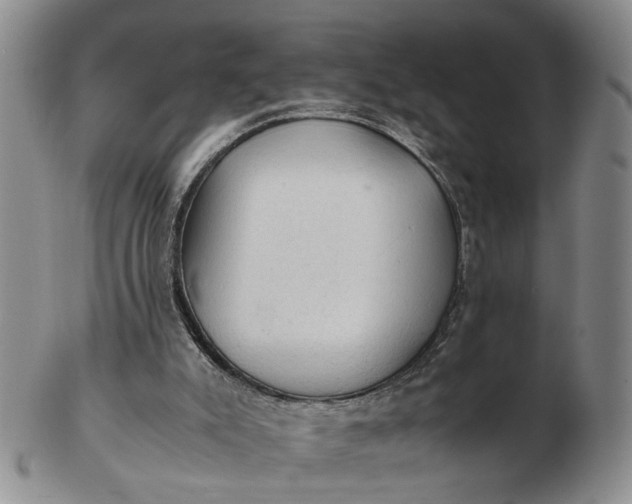 X0000103160007200809051710