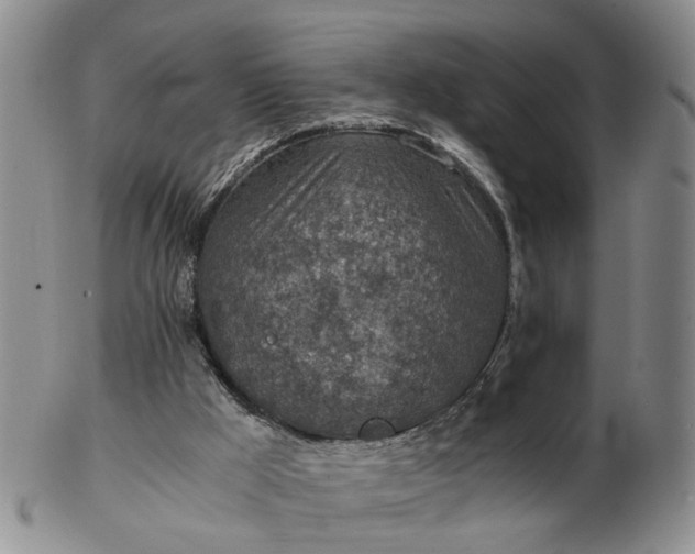 X0000103160009200809051710