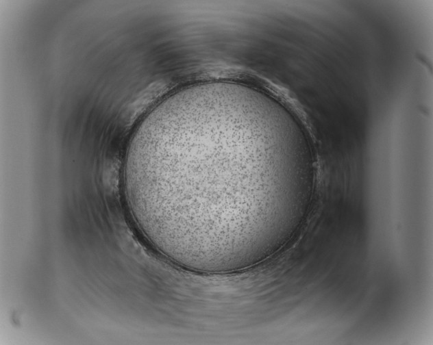 X0000103160010200809051710