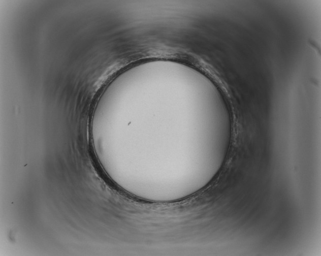 X0000103160011200809051710