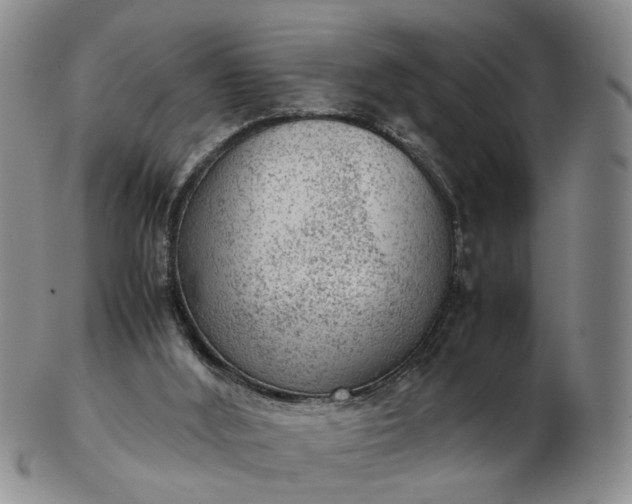 X0000103160012200809051710