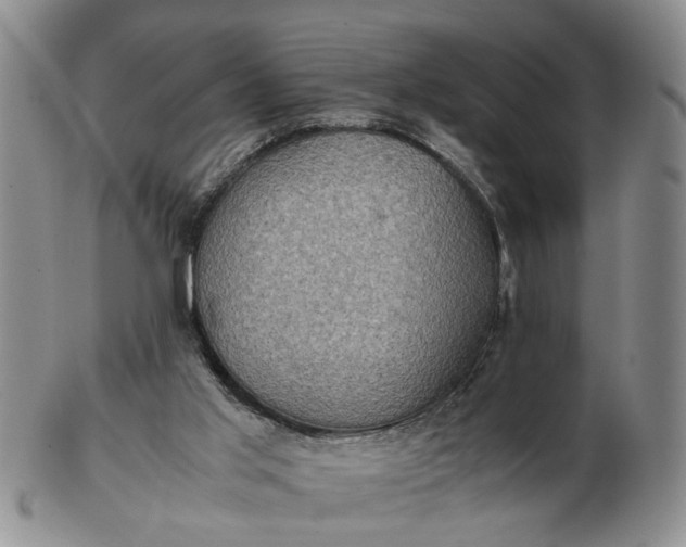 X0000103160013200809051710