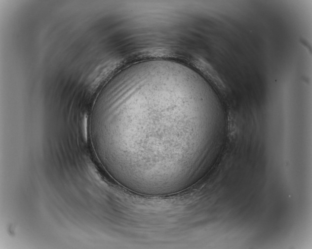 X0000103160014200809051710