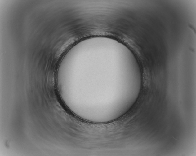 X0000103160015200809051710