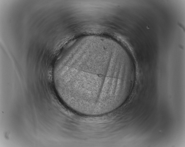 X0000103160017200809051710