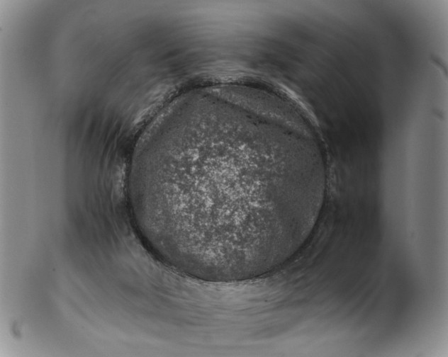 X0000103160018200809051710