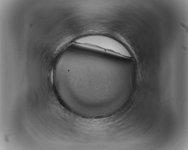 X0000103160019200809051710