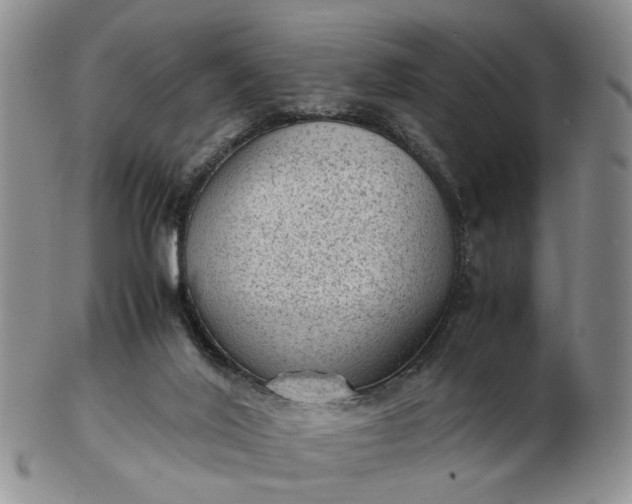 X0000103160020200809051710