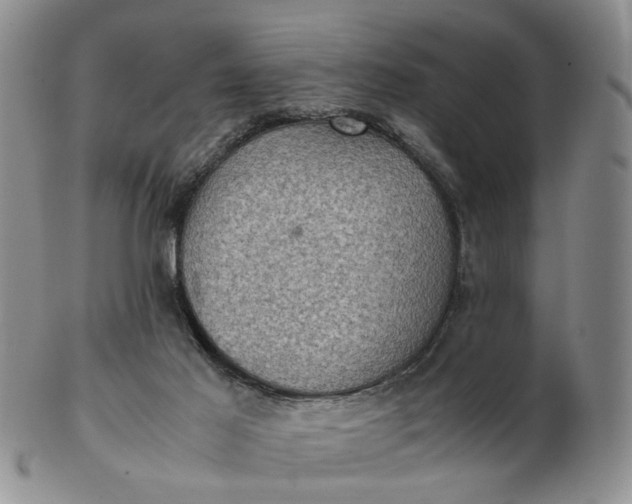 X0000103160021200809051710