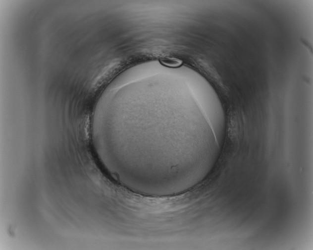 X0000103160023200809051710