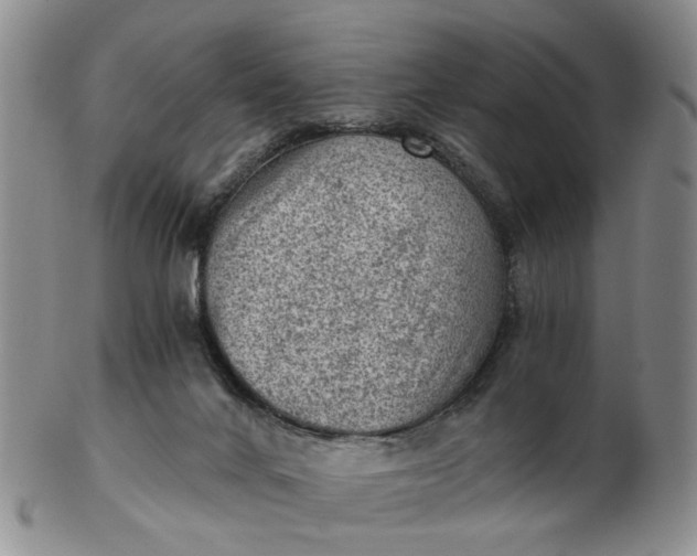 X0000103160024200809051710