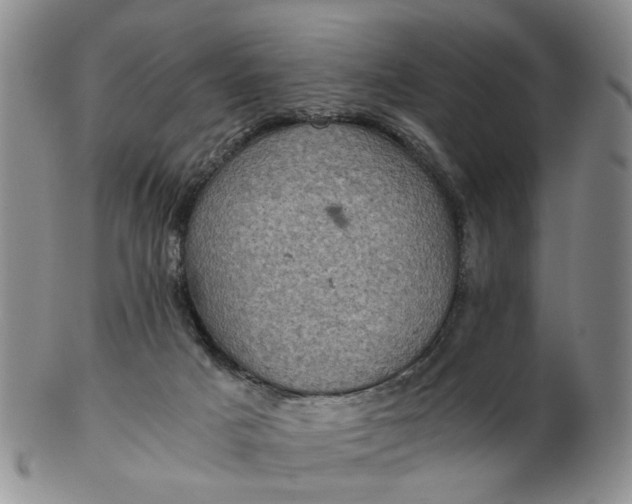 X0000103160025200809051710