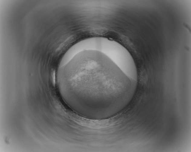 X0000103160027200809051709