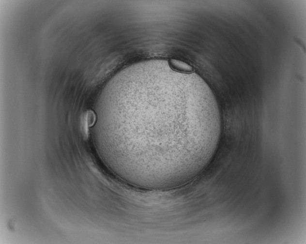 X0000103160028200809051709