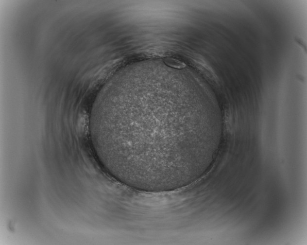 X0000103160029200809051709