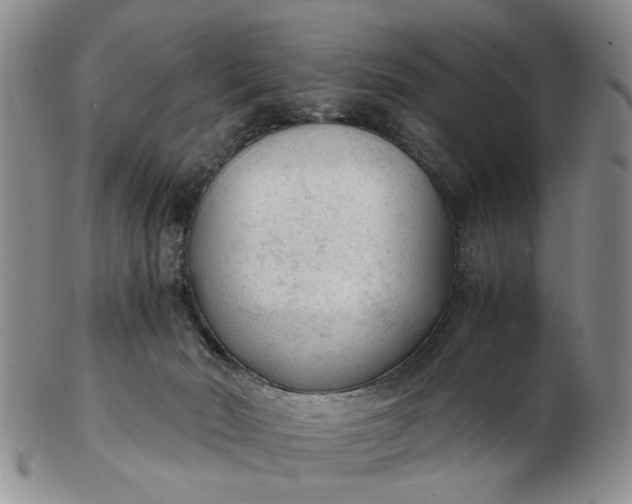 X0000103160030200809051709