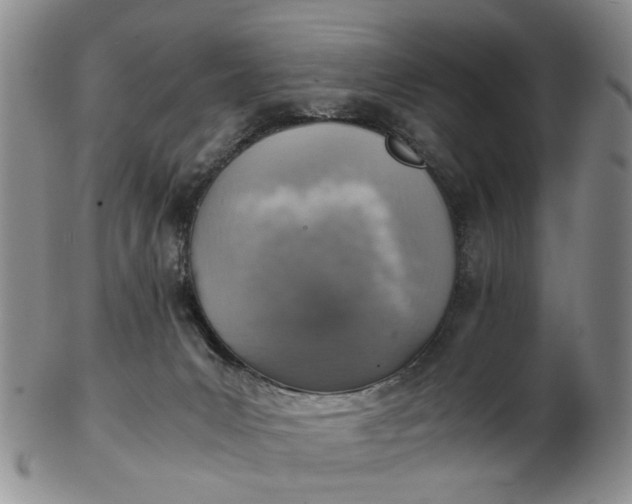 X0000103160031200809051709