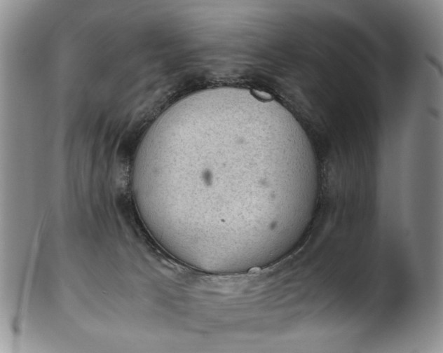 X0000103160033200809051709